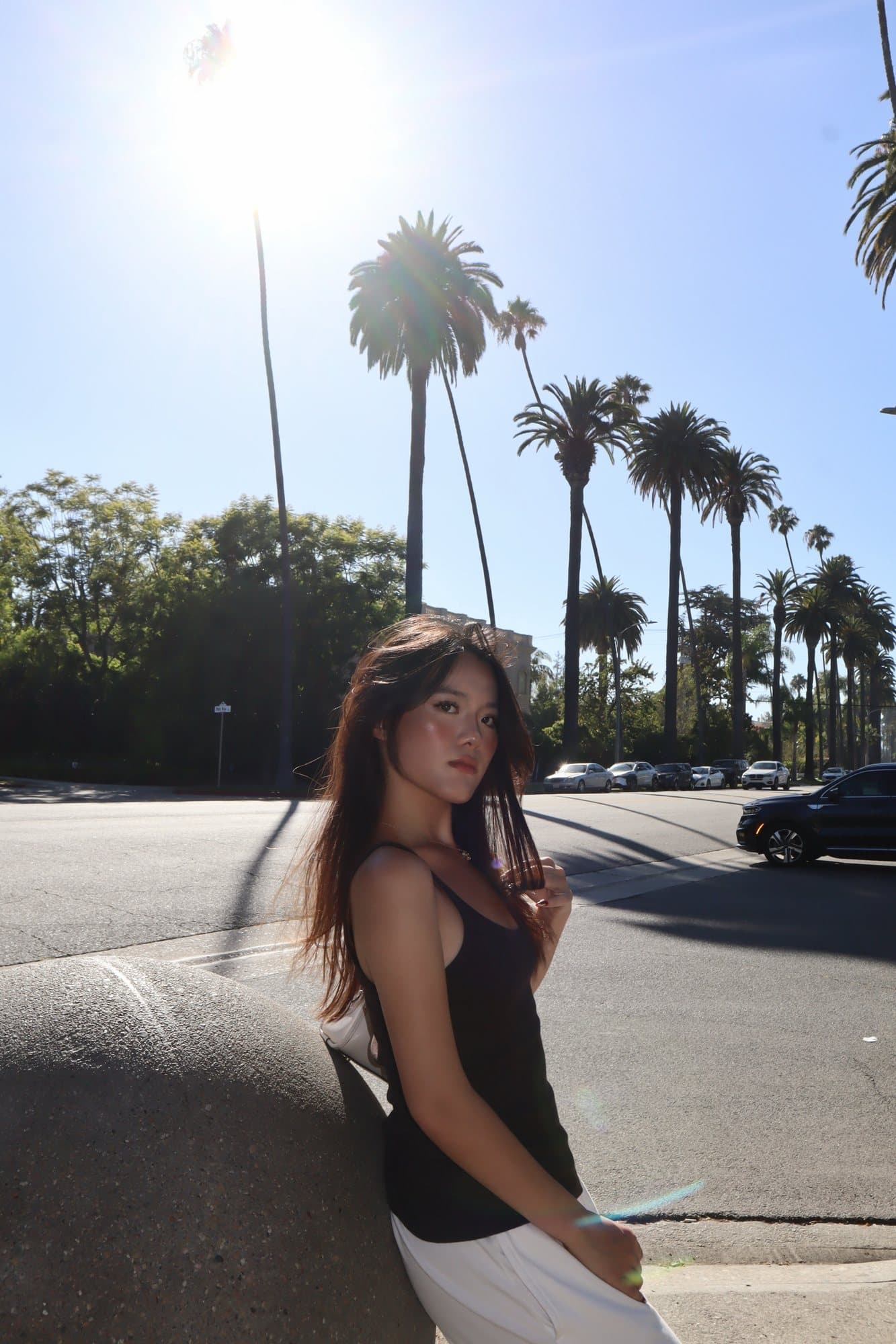 Leaning on a curb on a street lined with tall palm trees in Los Angeles, sun flaring above